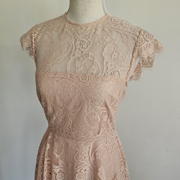 BB Dakota Pink Rose Smoke Lace Illusion Dress - Picture 4 of 10
